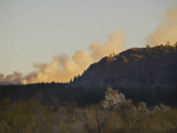 <B>Controled Burn</B> <BR><FONT SIZE=2>Mono Lake, California, October 2006</FONT>