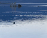 Late Day Blues Mono Lake, California, October 2006