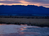 <B>-PINK RIPPLES- </B> <BR><FONT SIZE=2>Tecopa CA February 2007</FONT>