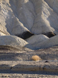 <B>20 Mule Team Morning</B> <BR><FONT SIZE=2>Death Valley, California  February 2007</FONT>