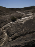 <B>River of Light</B> <BR><FONT SIZE=2>Death Valley, California  February 2007</FONT>