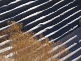 <B>Corregated Metal Dune</B> <BR><FONT SIZE=2>Death Valley, California  February 2007</FONT>