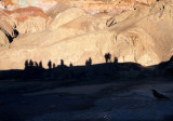 <B>Watchers</B> <BR><FONT SIZE=2>Death Valley, California  February 2007</FONT>