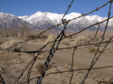 <B>Freedom Seen </B> <BR><FONT SIZE=2>Manzanar National Monument, California February 2007</FONT>