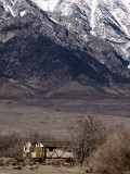 <B>Majesty and Confinement</B> <BR><FONT SIZE=2>Manzanar National Monument, California February 2007</FONT>