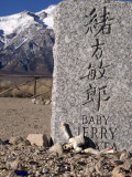 <B>Broken Elvis</B> <BR><FONT SIZE=2>Manzanar National Monument, California February 2007</FONT>