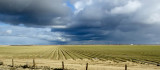 <B>Storm Over the Valley</B> <BR><FONT SIZE=2>Bakersfield, California February 2007</FONT>