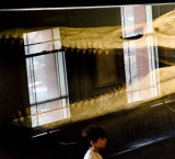 <B>Window Eater</B> <BR><FONT SIZE=2>Cambridge, Massachusettes, April 2007</FONT>