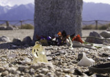 <B>Horror</B> <BR><FONT SIZE=2>Manzanar National Monument, California, April 2007</FONT>