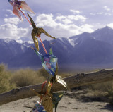 <B>Cranes</B> <BR><FONT SIZE=2>Manzanar National Monument, California, April 2007</FONT>