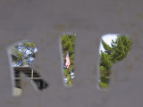 <B>Death of...</B> <BR><FONT SIZE=2>Mare Island, Vallejo, California, 2007</FONT>