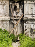 <B>Gardening</B> <BR><FONT SIZE=2>Chiefs House, Malaysia September 2007</FONT>