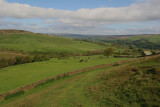 Fine House and Hill End