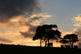 setting