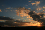 rays