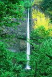 Latourell Falls, upper viewpoint #1