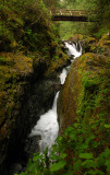 Opal Creek study #1