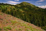 South Peak from Cone Peak trail