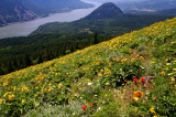 Wind Mountain from Dog Mountain trail #2