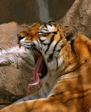 Im Boooooored