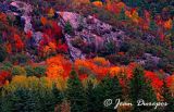 Along the escarpment