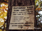 Gatineau Park - Parc de la Gatineau