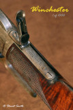Tang and Rear Sight 9062 Winchester Model 1873 1 of 1000