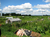 Estonian countryside