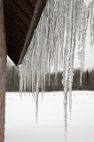 A row of icicles