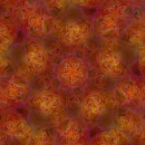 Rose orange 6.jpg