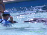 MamaJean rides a dolphin in Puerto Vallarta, Mexico