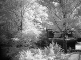 alcovy river gristmill