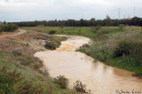 Lakhish Creek is flowing after the rain