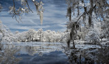 Airlie Lake Infrared 1