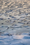 shore ice at sunset copy.jpg