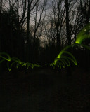 Glow Light