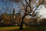 Mickiewicz Monument