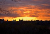 Orange Clouds