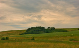 Grassy Meadows