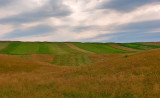 Grass, Fields And Sky