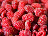 Ripe Raspberries