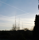 CRW_1618.jpg