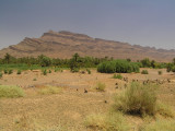 Draa-valley with Jebel Kissane