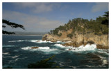 Point Lobos