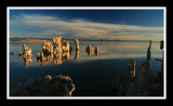 Floating Reflections