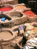 Dyeing in Fez