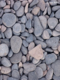 Pebble Beach