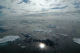  Arctic Sea