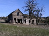 The Cow House near Fossil, Or. On hwy 19