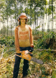 Young wood cutter.